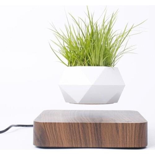 New Magnetic Levitation Potted Plant Creative Rotating Flower Pot Home Desktop Decoration Valentines Day Christmas Gift