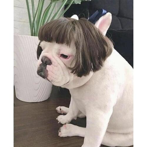 Cute Funny Dog Cosplay Wig For Small Dogs Pet Wigs Cat Cospaly Props Wigs Tiara Hairpiece Makeover Clothing Supplies hat summer