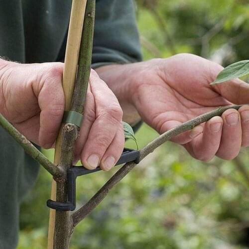 Fruit Branch Spreader Tree Branch Support Frame for Strong Branch Gardening Accessories plant support Fruit Tree Puller Tools