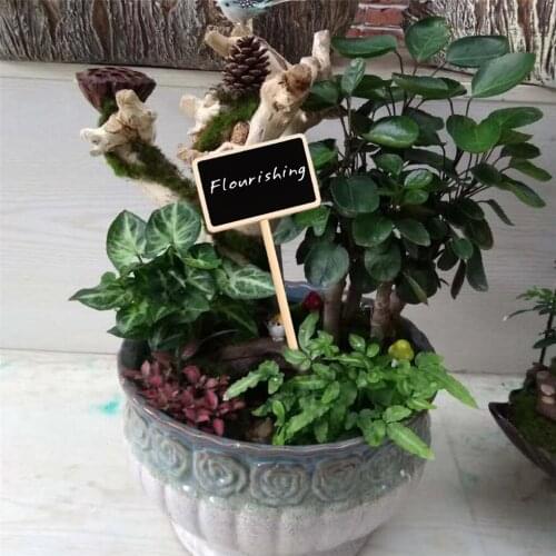 Plant Labels Chalkboard Signs Blackboard Wooden Plant Tags T-type Garden Nursery Creative Flowers Decoration Seedling Tray
