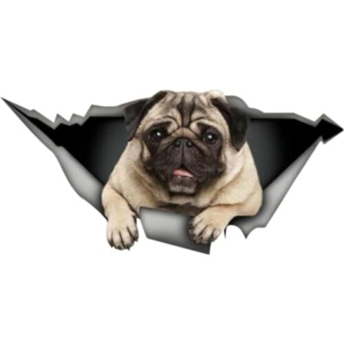 Dawasaru Pug Dog Torn Metal Pet Car Sticker Waterproof Decal Laptop Suitcase Truck Motorcycle Auto Accessories PVC,13cm*6cm