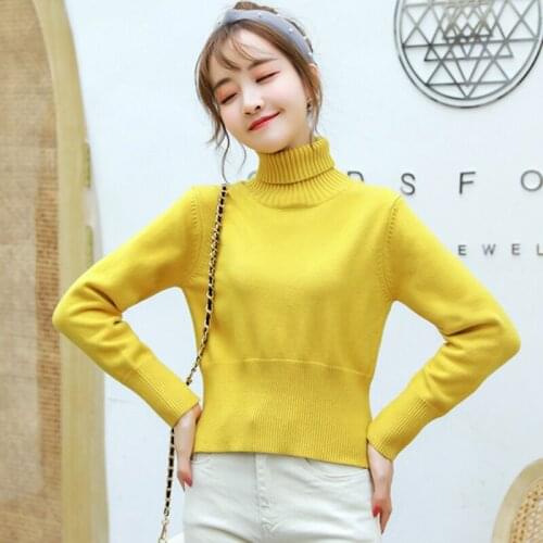 Turtleneck Sweater Women Autumn Winter Thick Long Sleeve Jumper Crop Tops 2021 Knitted Warm Loose Fashion Pull Femme AIYANGA