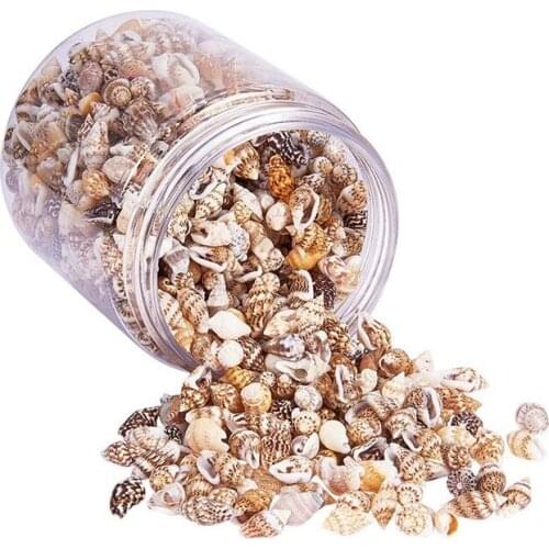 Promotion! About 1300-1500 Tiny Sea Shell Ocean Beach Spiral Seashells Craft Charms 7-12mm for Candle Making,Home Decoration,Bea