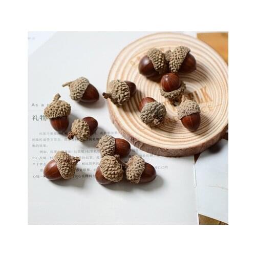 20pcs,Natural dried flowers nuts real acorns,Eternal flower materials for Wedding Party home Decoration accessories,DIY gift box