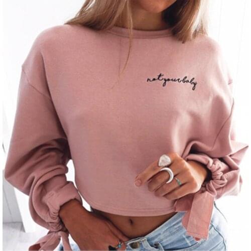 Oversized Women Hoodies Jumper Sweatshirt Female Pink Cropped Top Spring Kawaii Harajuku Embroidery Letter Loose Pullover