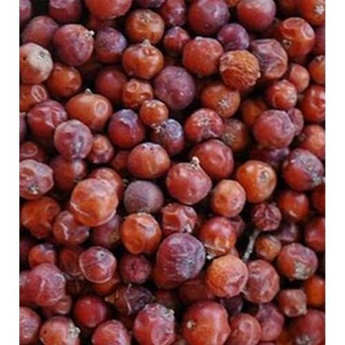 Juniperus communis Juniper, fruit 50-400 GR Free Shipping