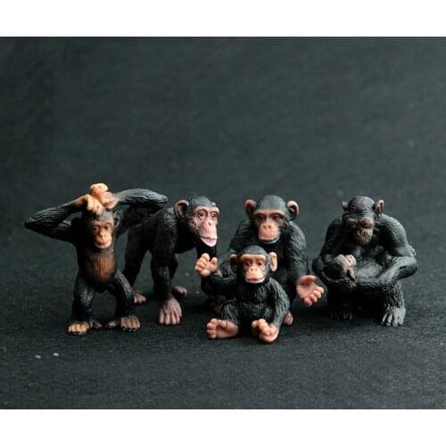 5pcs/set Animal Model Toy Set Action Figures Toys for Collection Chimpanzee Model Kids Learning Educational Toys Children Gifts