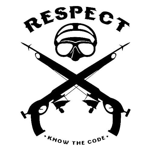 Respect the Spear Vinyl Stickers Car Decal Window Art Bumper Car Rear windshield Decor Unique T101