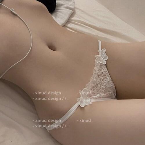 Butterfly Embroidery Womens Underwear Sexy Lingerie Coast Lace Low Waist Breathable Cotton Panties Seamless Transparent Briefs