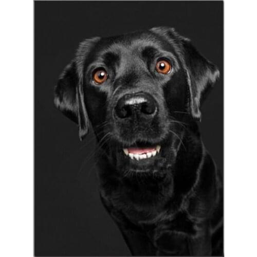 DIY Diamond Painting Dog Black Labrador Retriever Animal Home Art Cross Stitch Full Diamond Embroidery Decor JX709