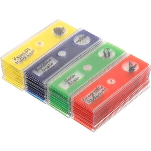 48pcs/set Plastic Prepared Microscope Slides Animals Insects Plants Sample Specimens Slides Set with Color Labels for Kids