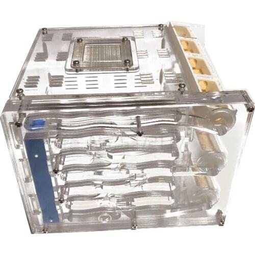 Acrylic Ant Farm Ecological Bamboo Tube Ant Nest 3 Tubes with Feeding area workshop Villa Pet Anthill Ant House 19*16.4*14cm