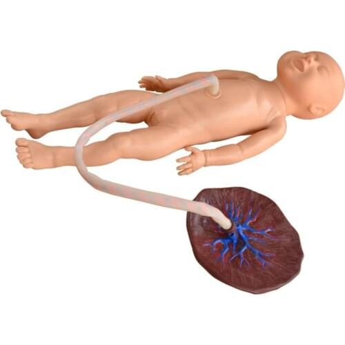 Medical teaching manikin Advanced Neonatal Umbilical Cord Training Simulator Nursing skills