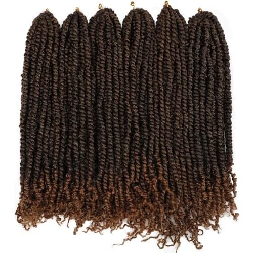 ELEGANT MUSES Synthetic Crochet Braids Hair Passion Twist Crochet Hair Pre-Looped Fluffy Ombre Braiding Hair Pre Twisted Hair