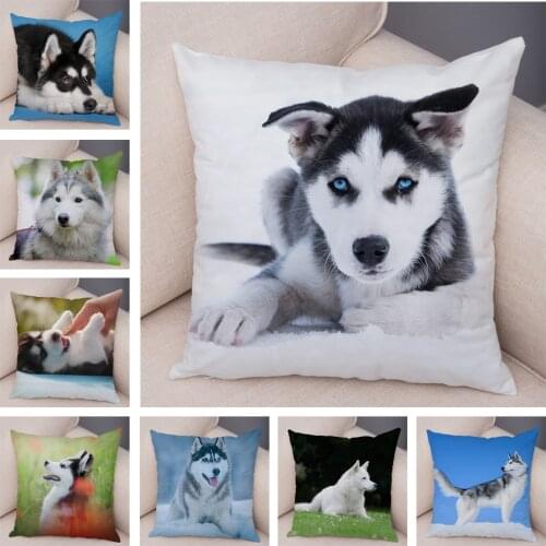 Decor Cute Siberian Husky Pillowcase Pet Dog Printed Super Soft Short Plush Pillow Case 45*45cm Animal Cushion Cover for Sofa