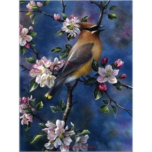 Counted Cross Stitch Kits Needlework Embroidery - Crafts 14 ct Aida DMC Color DIY Arts Handmade Home Decor - Beautiful Bird 2