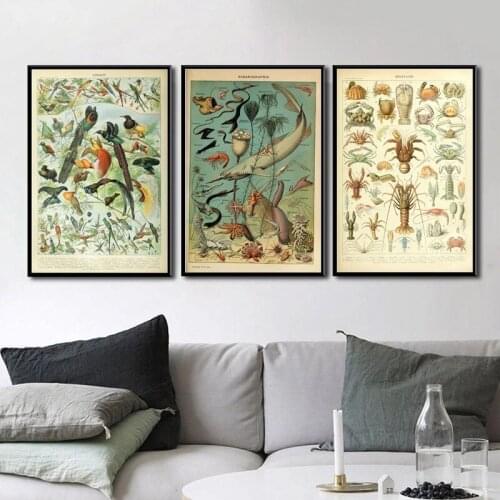 Plant, animal and mushroom, ocean map hight quality home Decor No Frame Kraft paper poster
