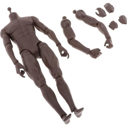 1/6 Scale Male Action Figure Body Toys For 12" Hot Toys Head Sculpt diy