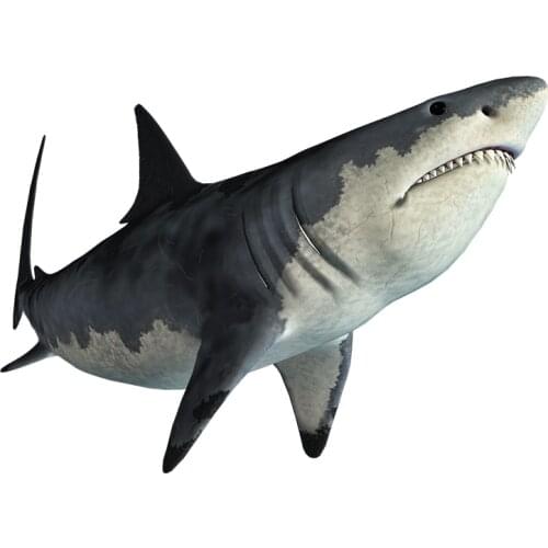 Three Ratels QC481 shark wall Stickers Anime Vinyl Stickers Cartoon Decal