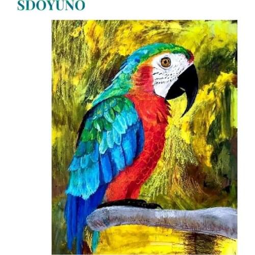 SDOYUNO 60x75cm Oil Painting By Numbers Parot DIY Paint By Numbers On Canvas Frameless Digital Handpaint Animals Home Number