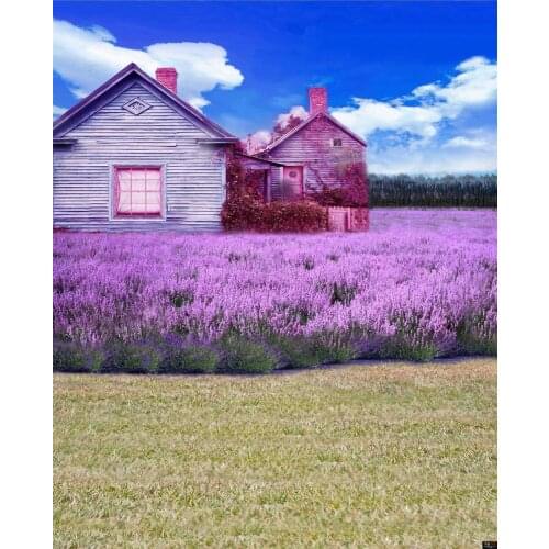VinylBDS 150x220cm Spring Photography Backdrop Fundo Chalet Flowers Blue Sky3D Baby Photography Backdrop Background LK 1881