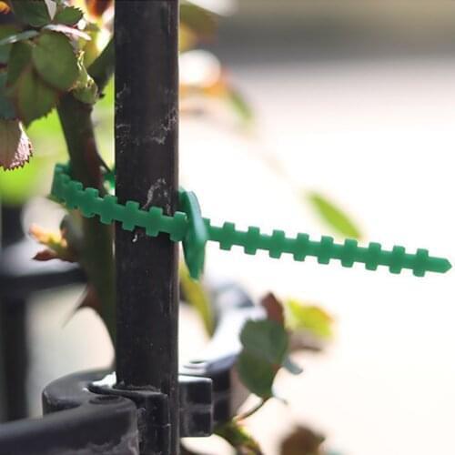 100/set Green Gardening Vine Climbing Plants Cable Tie Lines Plant Brackets Parts Bonsai Flower Cucumber Grape Rattan Support