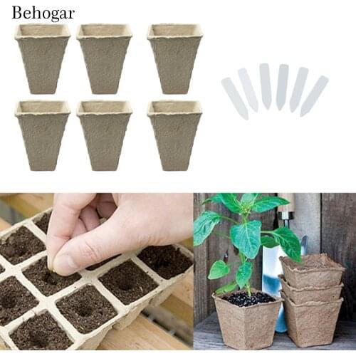 Behogar Grass Seeds China