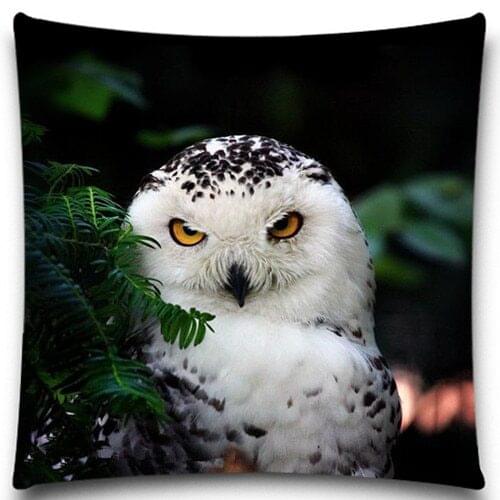 18*18 inch 5 size Pillow Case Bird Owl Cotton Polyester Home Cushion cover Comfortable Back Throw Wedding Pillow Cover