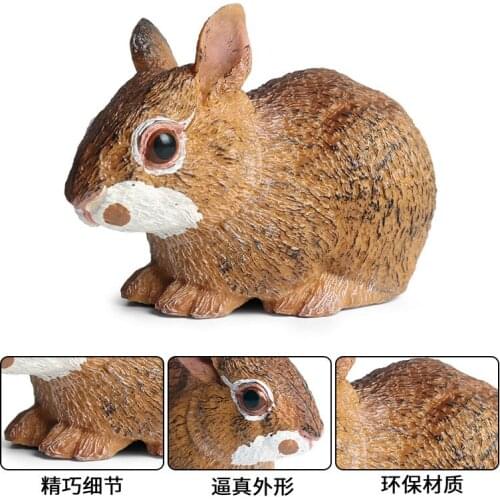 Sylvilagus Rabbit Animal Figure Collectible Toys Wild Animal Cognition Action Figures Simulation Animal Toys