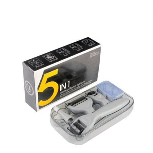 Hot Sale 5 in 1 Titanium Derma Roller 12/300/700/1200 pins Derma roller Micro Needle Skin care kit