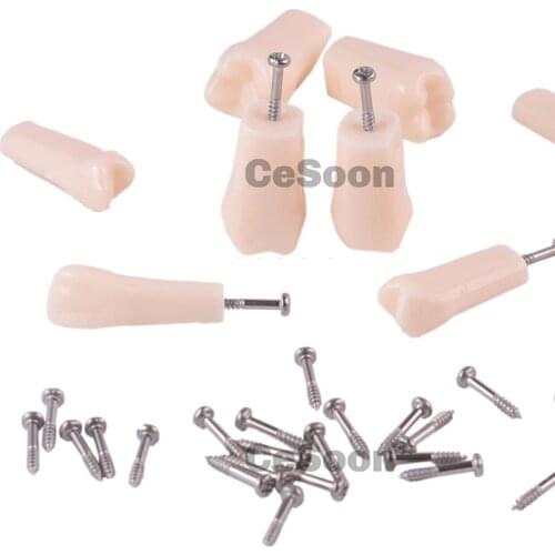 Dental Denture Model Synthetic Resin Polymer False Teeth (28Pcs/set)(32Pcs/set) Kilgore teeth for Typodont