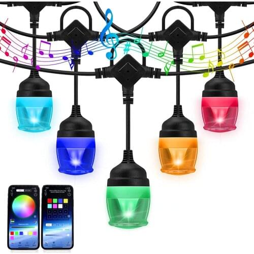 WARM-MART Festive Lighting