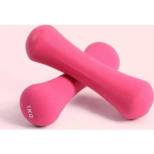 1kg/1.5kg Dip dumbbell ladies home thin arm fitness equipment A pair of 2