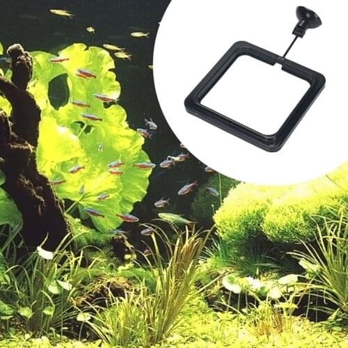 Fish Feeding Aquarium Ring Feeder Floating Food Water Plant Buoyancy Circle Water Plant Buoyancy Suction Cup Dropshipping