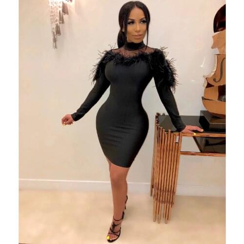 HAOOHU Sexy Mesh Feather Splice Turtleneck Mini Dress Women Autumn Winter Long Sleeve Bodycon Dresses Night Club Party Dress