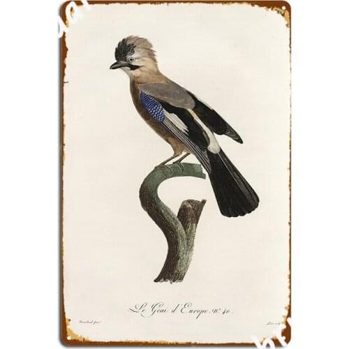Vintage French Bird Illustration Jacques Barraband Le Geai D Europe Metal Sign Painting Décor Personalized Club Bar