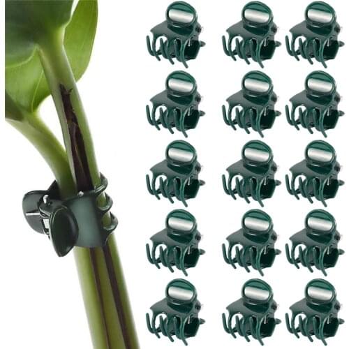 100PCS Plastic Plant Support Clips Orchid Stem Clip for Vine Support Vegetables Flower Tied Bundle Branch Clamping Garden Tool
