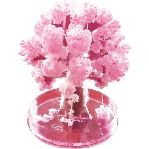 1PC 2019 90x80mm Magically Paper Sakura Crystal Trees Magic Growing Tree Japan Desktop Cherry Blossom Educational Toys Novelties