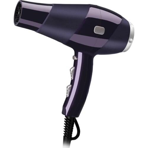 2300W Hair Dryer, AC Motor Blow Dryer, Salon Grade Powerful Hairdryer, 2 Speed and 3 Heat Settings, Fast Hair Drying