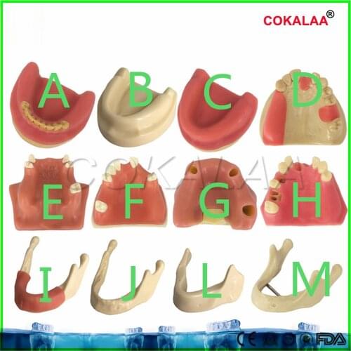 Good quality Dental materials dental model oral implant surgery maxillary sinus dental supplies equipment tools soft gums