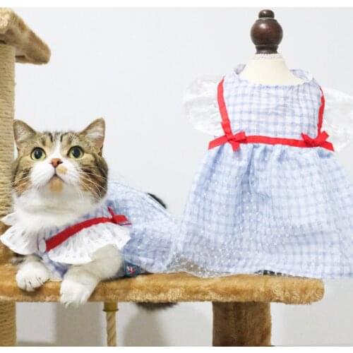 Dress for Cat Cat Dress