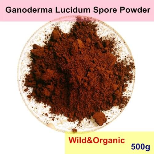 500g Wild Ganoderma Lucidum Spore Powder Reishi Immunity