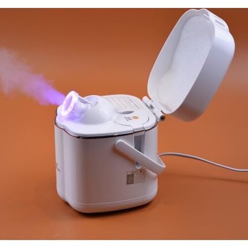Ionic Steamer Ion Beauty Face Steaming Device Face humidifier for skin moisture Facial Steamer
