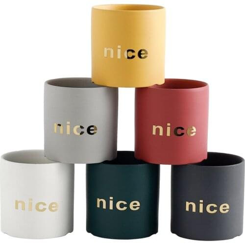 European style fleshy flowerpot ceramic gray water transfer printing simple artistic personality fleshy potted green flowerpot