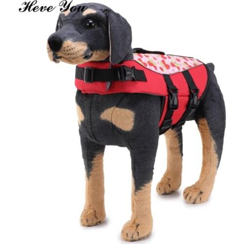 Heve You Raincoats For Dogs
