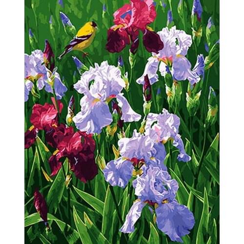 Frameless picture oil painting by numbers wall decor diy painting on canvas for home decor 4050 poppy field