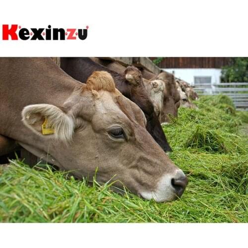 Kexinzu Full Square/Round 5D Diy Diamond Painting Cross Stitch "Animal Cow" Diamond 3D Embroidery Mosaic Home Decor Gift K070