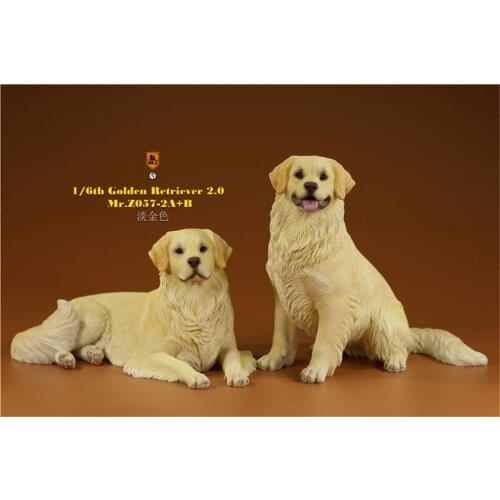 Mr.z 1/6 Golden Retriever Model Realistic Pet Dog Animal Figure Collector Handmade Decor Oenaments Toy Children Adults Kids Gift