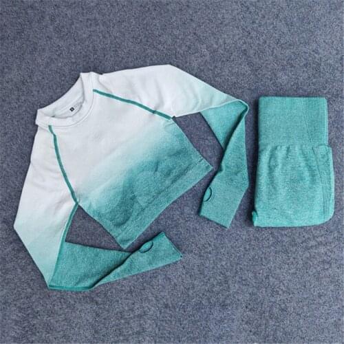 2 Piece Set Women Yoga Outfits Workout Sportswear Seamless Leggings Pant Long Sleeve Shirt Yoga Set Female Fitness Training Suit