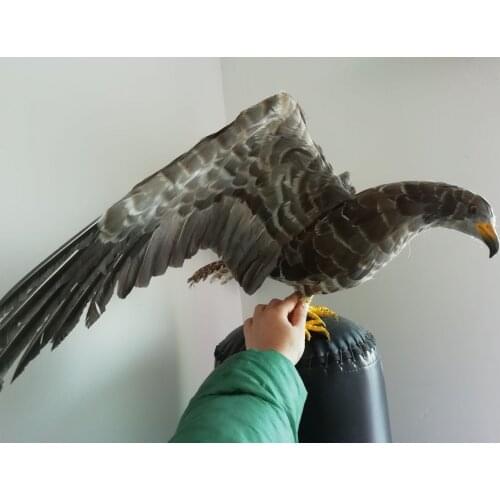 Big new simulation eagle model foam&feather real life wings eagle bird doll gift about 45x80cm xf2865